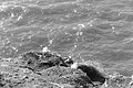 Bernhard Saalfeld - L1004262.JPG
