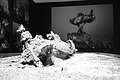 Bernhard Saalfeld - L1004307.JPG