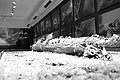 Bernhard Saalfeld - L1004309.JPG