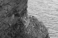 Bernhard Saalfeld - L1004335.JPG