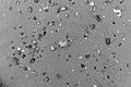 Bernhard Saalfeld - L1004388.JPG