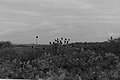 Bernhard Saalfeld - L1004401.JPG
