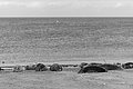 Bernhard Saalfeld - L1004405.JPG