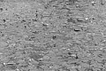 Bernhard Saalfeld - L1004412.JPG