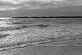 Bernhard Saalfeld - L1004428.JPG
