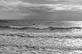 Bernhard Saalfeld - L1004433.JPG