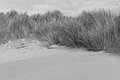 Bernhard Saalfeld - L1004436.JPG