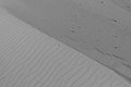 Bernhard Saalfeld - L1004439.JPG
