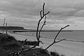 Bernhard Saalfeld - L1004450.JPG