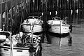 Bernhard Saalfeld - L1004502.JPG
