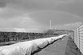Bernhard Saalfeld - L1004510.JPG
