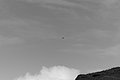 Bernhard Saalfeld - L1004516.JPG