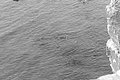 Bernhard Saalfeld - L1004522.JPG