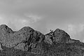 Bernhard Saalfeld - L1004530.JPG