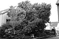 Bernhard Saalfeld - L1004564.JPG