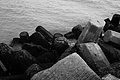 Bernhard Saalfeld - L1004579.JPG