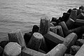 Bernhard Saalfeld - L1004580.JPG