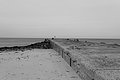 Bernhard Saalfeld - L1004582.JPG