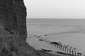 Bernhard Saalfeld - L1004591.JPG