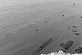 Bernhard Saalfeld - L1004596.JPG