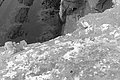 Bernhard Saalfeld - L1004597.JPG