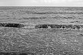Bernhard Saalfeld - L1004612.JPG