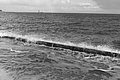 Bernhard Saalfeld - L1004619.JPG