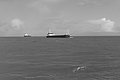Bernhard Saalfeld - L1004630.JPG