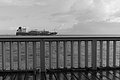 Bernhard Saalfeld - L1004632.JPG
