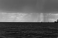 Bernhard Saalfeld - L1004633.JPG