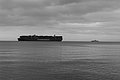Bernhard Saalfeld - L1004693.JPG