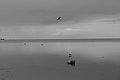 Bernhard Saalfeld - L1004728.JPG