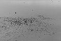 Bernhard Saalfeld - L1004729.JPG