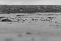 Bernhard Saalfeld - L1004737.JPG