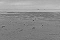 Bernhard Saalfeld - L1004738.JPG