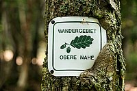 DSC06897_t.JPG