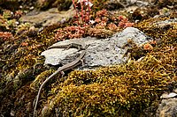 Bernhard Saalfeld - DSC06926.JPG