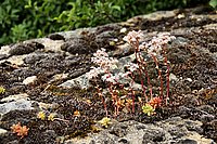 Bernhard Saalfeld - DSC06931.JPG