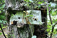 DSC07011_t.JPG
