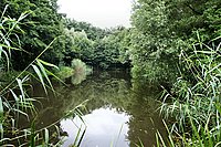 DSC07103_t.JPG