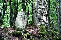 DSC07109_t.JPG