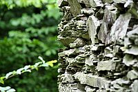 Bernhard Saalfeld - DSC07148.JPG
