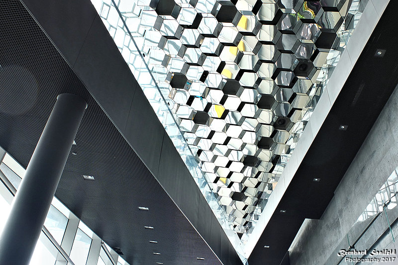 Bernhard Saalfeld - Harpa