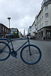DSCF7559_t.JPG