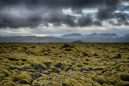 Bernhard Saalfeld - Lavafeld