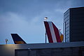 DSC01325_t.JPG