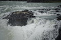 Bernhard Saalfeld - DSC01388.JPG