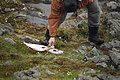 Bernhard Saalfeld - DSC01398.JPG