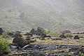Bernhard Saalfeld - DSC01622.JPG