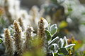 Bernhard Saalfeld - DSC01623.JPG